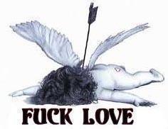 fuck love